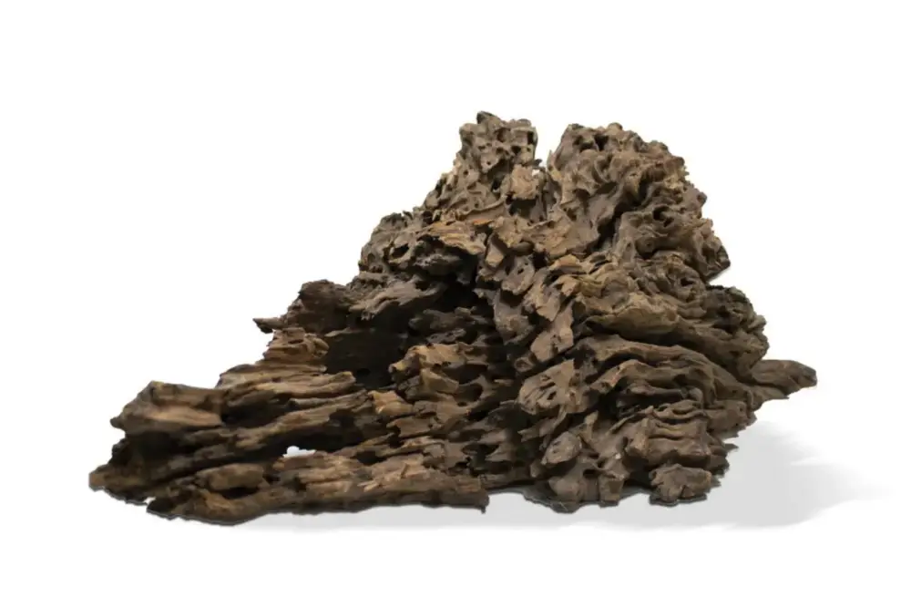 Affaire À Saisir Racine décorative pour aquarium coloris marron Aquavie Pookanatur – Taille L