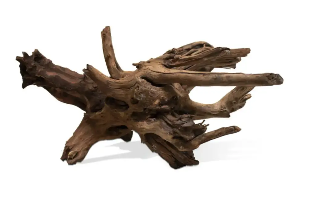Dernière Chance Racine décorative pour aquarium coloris marron Aquavie Sinknatur – Taille XL