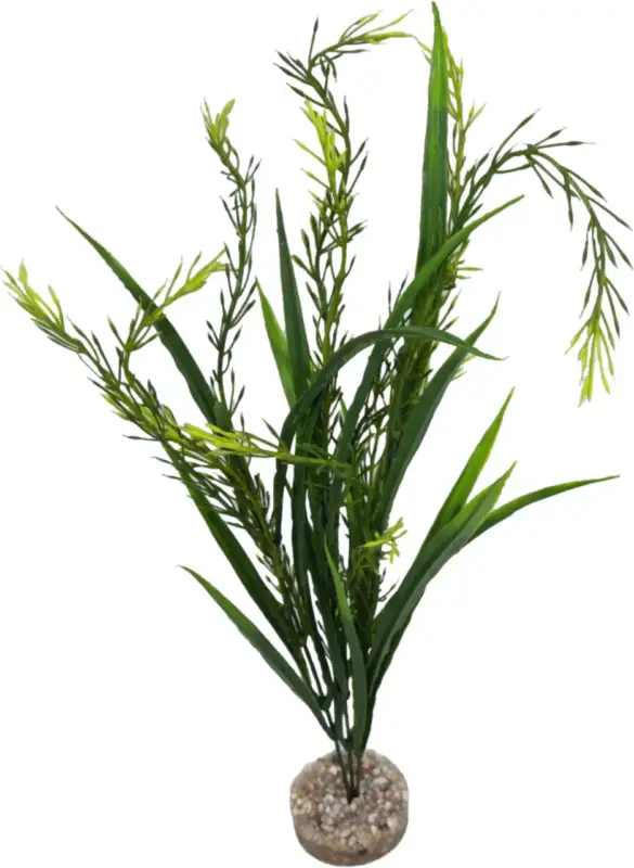 Plante artificielle pour aquarium coloris vert LABEO Elodea MM Jusqu&rsquo;à Épuisement Des Stocks