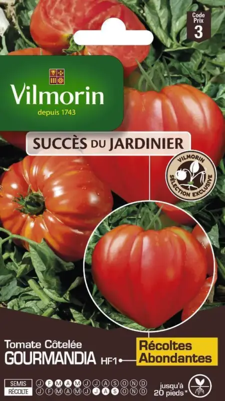 Quantité Limitée Tomate Côtelée Gourmandia HF1 Vilmorin – graines à semer