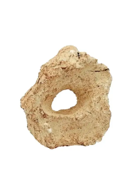 Décor pour aquarium céramique naturelle coloris beige 1 trou Tyrol – Taille S Seulement Aujourd&rsquo;hui