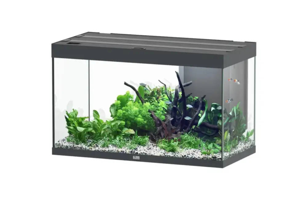 Aquarium coloris gris Aquatlantis Sublime Ultra LED 2.0 245 L – 100 x 50 x 60 cm Commander Vite
