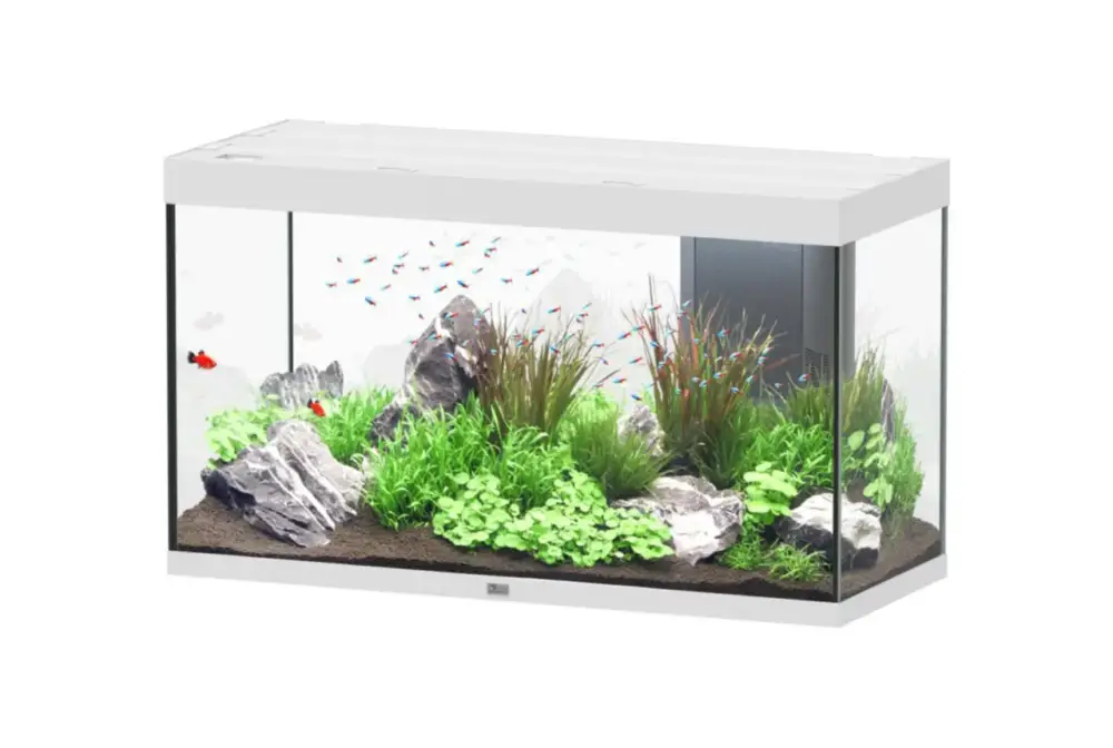 Prix Réduit Aquarium coloris blanc Aquatlantis Sublime Ultra LED 2.0 333 L – 120 x 50 x 70 cm