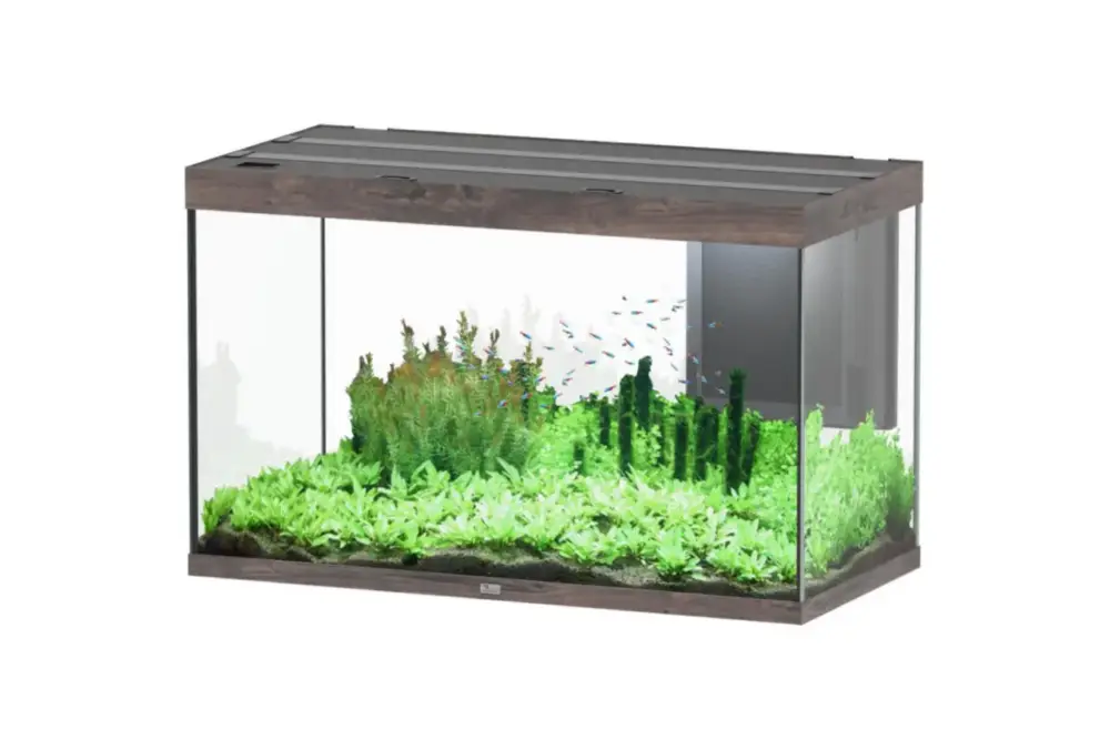 Aquarium coloris chêne foncé Aquatlantis Sublime Ultra LED 2.0 419 L – 150 x 50 x 70 cm Remise