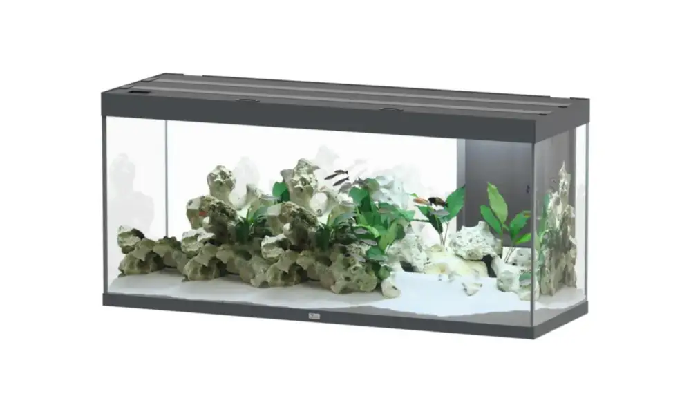 Quantité Limitée Aquarium coloris gris Aquatlantis Sublime Ultra LED 2.0 419 L – 150 x 50 x 70 cm