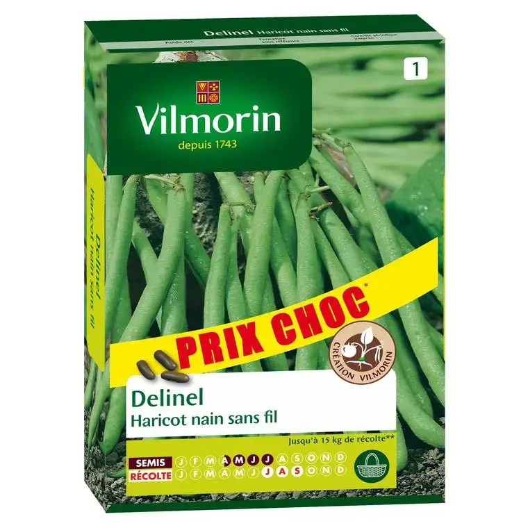 Achat Immédiat Haricot nain sans fil Delinel Vilmorin – graines à semer