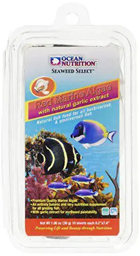 Expédié Aujourd&rsquo;hui Supplément nutritif algues marines rouges pour poissons d&rsquo;aquarium Océan Nutrition – 20 g