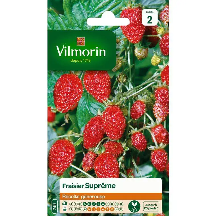 Fraisier Suprême Vilmorin – graines à semer Top Vente