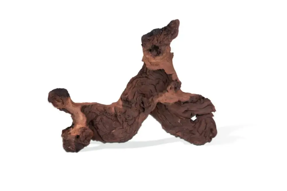 Commander Vite Racine pour aquarium coloris marron Aquavie Mopani – Taille pm 10 à 25 cm