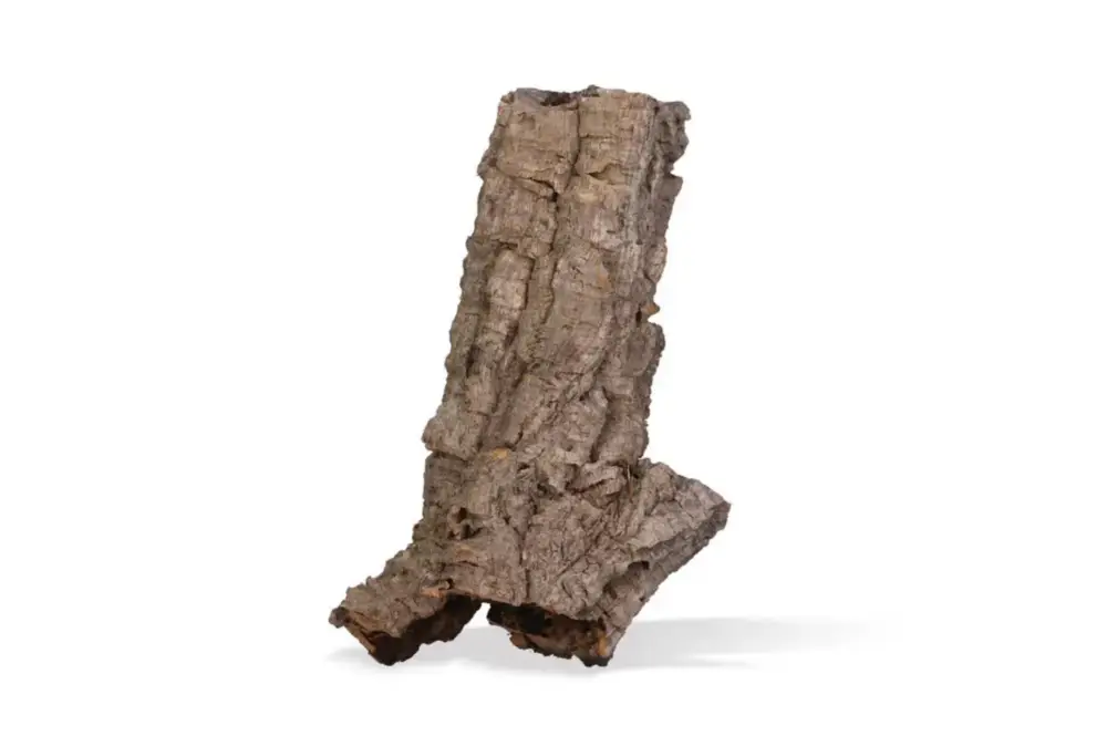 Jusqu&rsquo;à Épuisement Des Stocks Tube de liège pour terrarium coloris marron Aquavie – Taille mini 15 à 40 cm