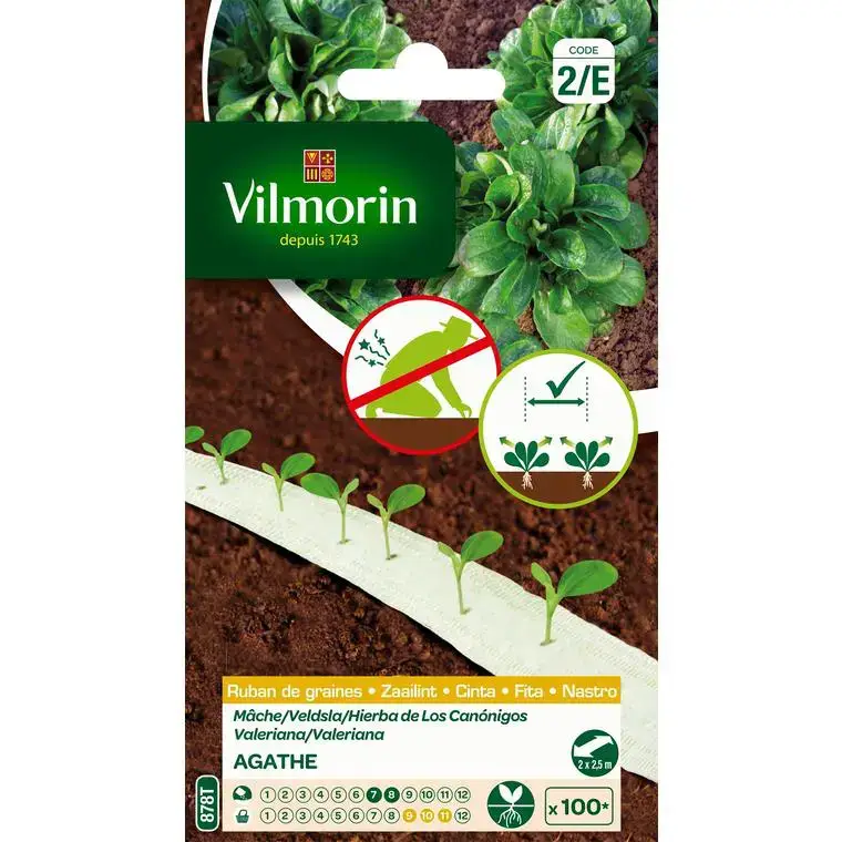 Nouvelle Collection Ruban de graines de Mâche Agathe Vilmorin