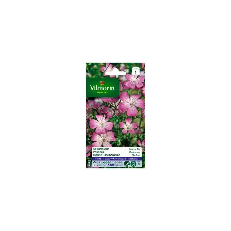 Bon Marché Graines de Coquelourde Rose du Ciel Vilmorin – graines à semer