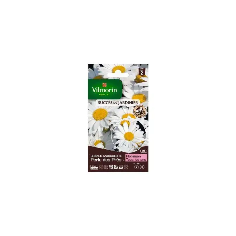 Retour Gratuit Graines de Grande Marguerite Perle des Prés Vilmorin – graines à semer