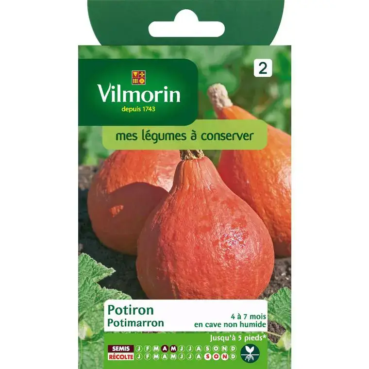 Potiron potimarron Vilmorin – graines à semer Expédition Rapide