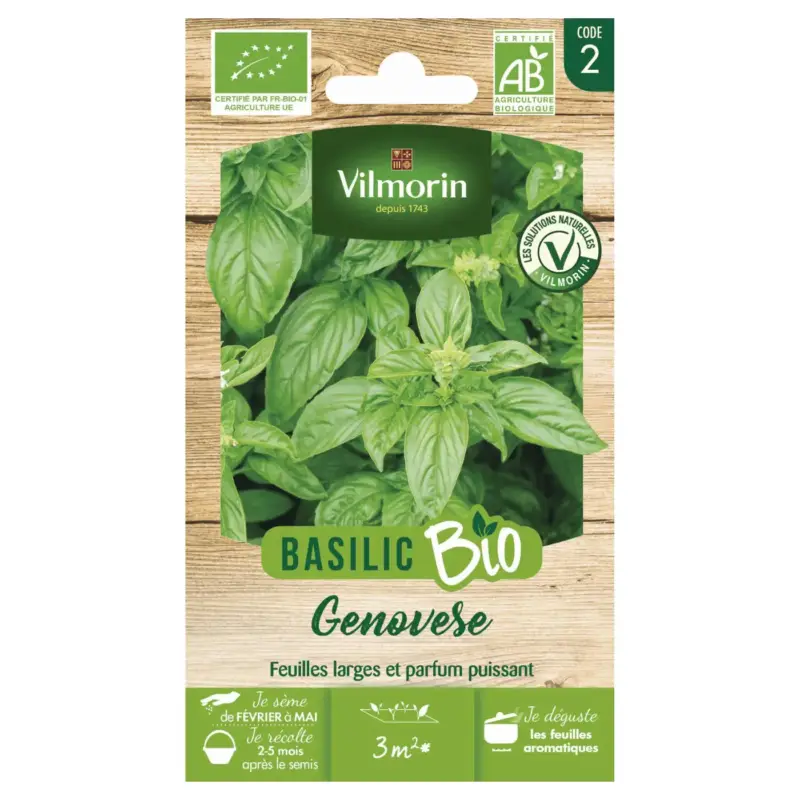 Bon Plan Basilic Genovèse Bio Vilmorin – graines à semer
