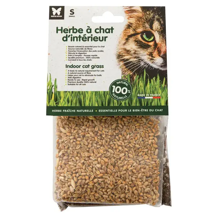 Promotion Saisonnière Herbe à chat d’intérieur Martin Sellier petit modèle – graines à semer