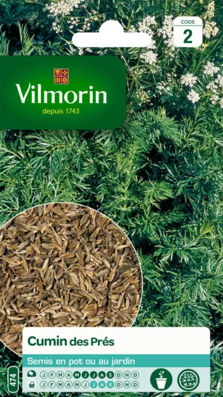 Cumin des Près Vilmorin – graines à semer Offre Du Jour