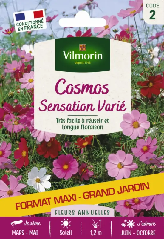 Dernière Chance Cosmos Sensation variée Grand jardin Format maxi Vilmorin – graines à semer