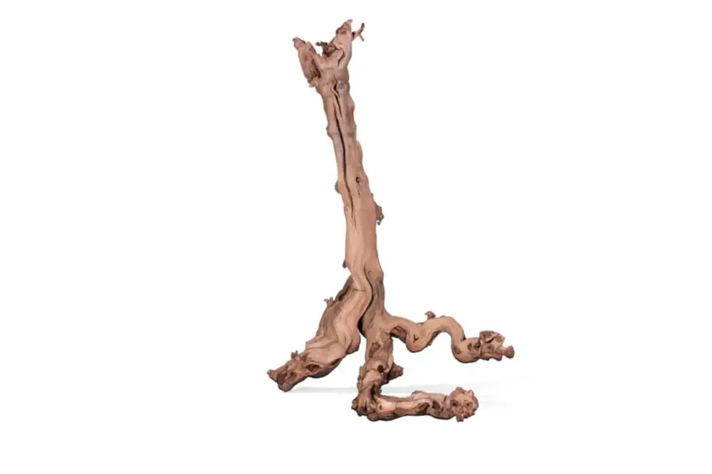 Racine pour terrarium coloris marron Aquavie Mopavigne – Taille L Meilleure Vente