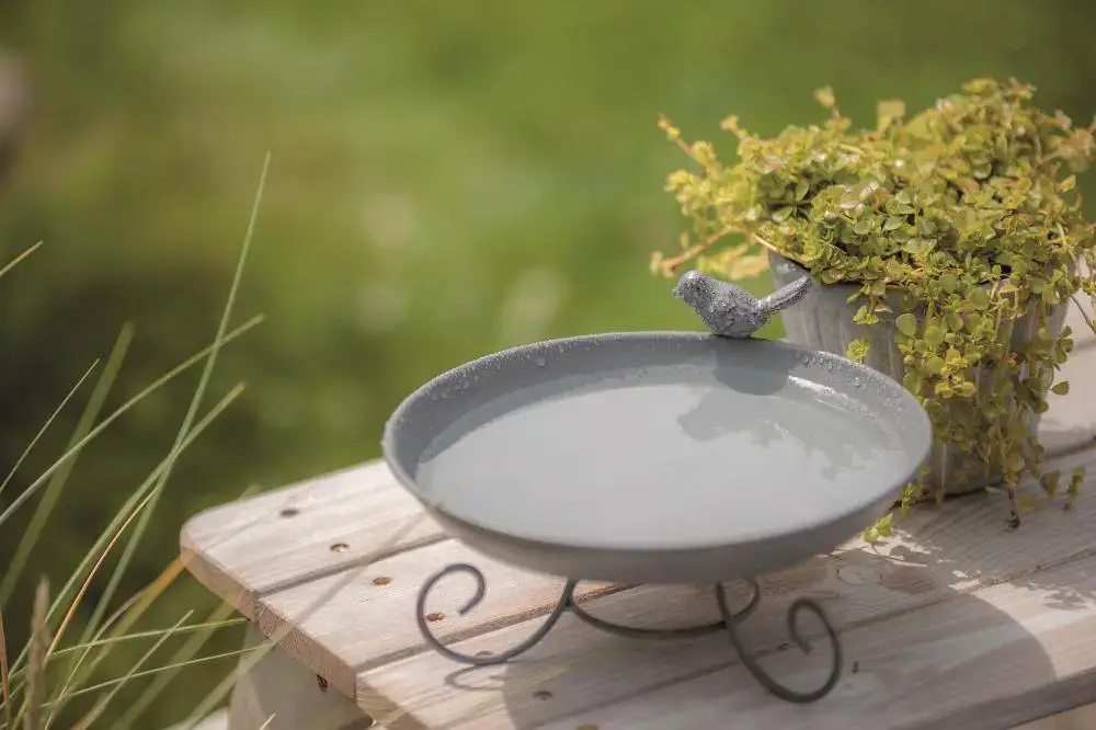 Abreuvoir mangeoire pour oiseaux en métal à poser au sol Trixie – 800 ml Expédition Rapide