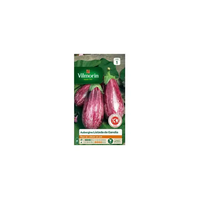 Commande En Gros Graines d’Aubergine Listada de Gandia Vilmorin – graines à semer