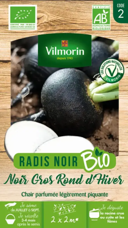 Radis Noir Gros Rond d&rsquo;hiver Bio Vilmorin – graines à semer Livraison Express