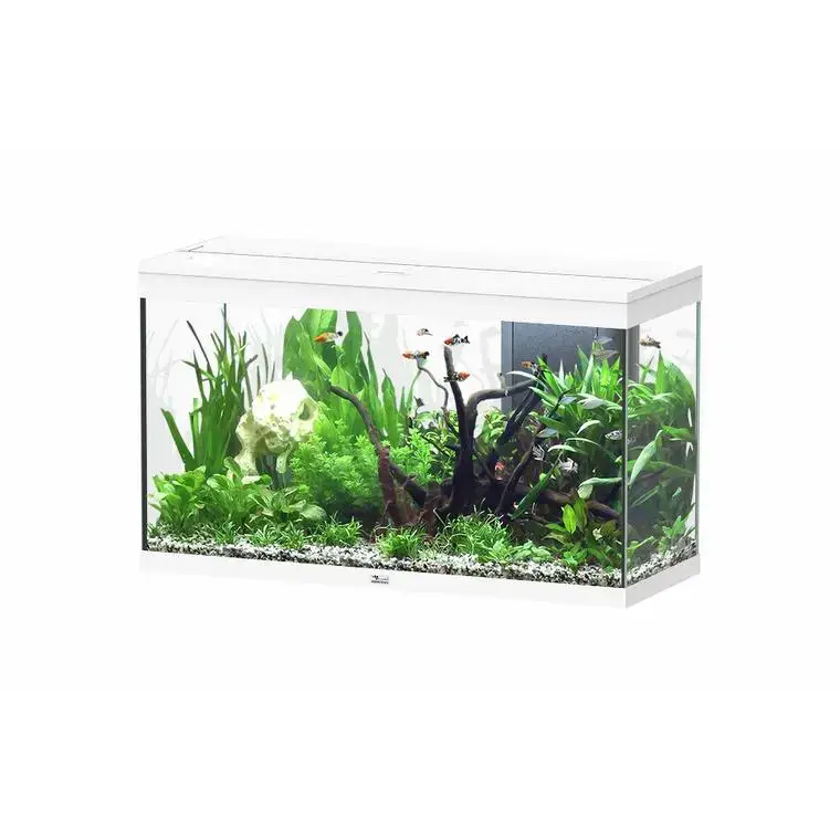 Aquarium 202 litres équipé LED 2.0 et filtre Aquatlantis Splendid blanc – 100 x 40 x 61 cm Usine Directe