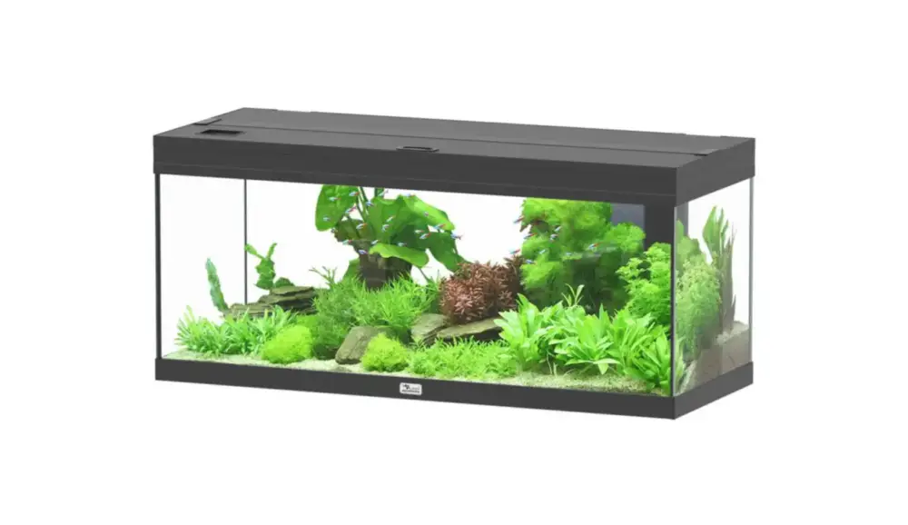Soldes Aquarium coloris noir Aquatlantis Prestige LED 2.0 144 L – 100 x 40 x 40 cm