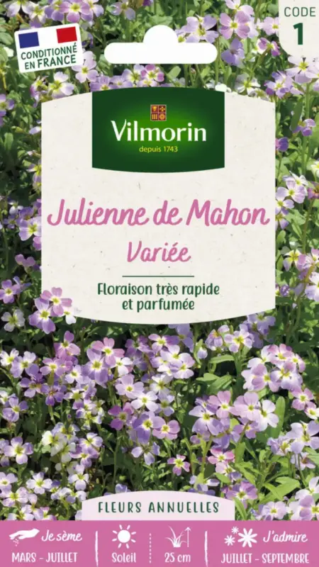 Petit Prix Julienne de Mahon Variée Vilmorin – graines à semer