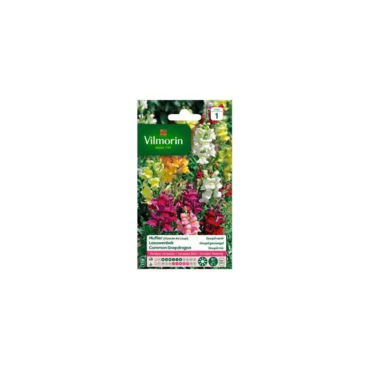 Prix Choc Graines de Muflier Goupil variée Vilmorin – graines à semer