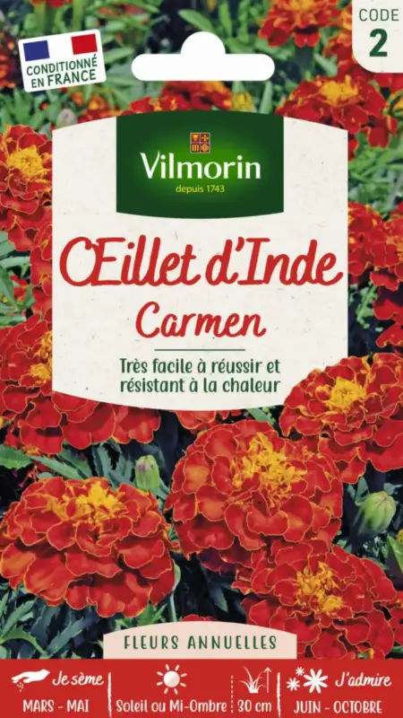 Seulement Aujourd&rsquo;hui Œillet d&rsquo;Inde Carmen Maniature Vilmorin – graines à semer