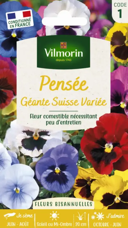 Pensée Géante Suisse Variée Vilmorin – graines à semer Achetez Aujourd&rsquo;hui