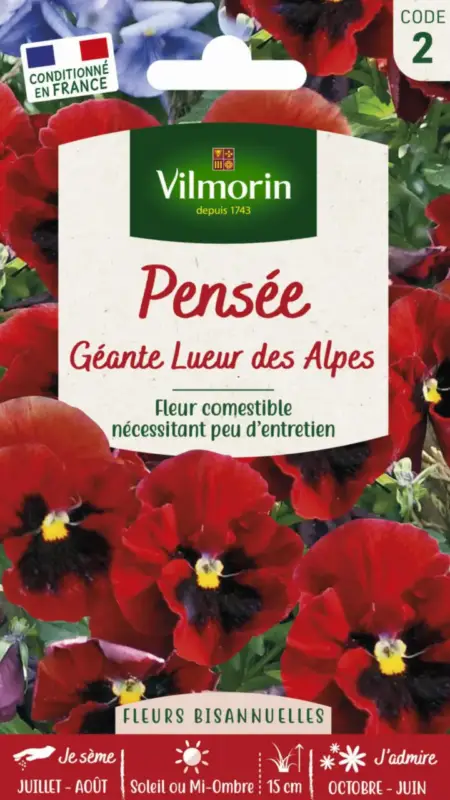 Soldes Graines de Pensée géante Lueur des Alpes Vilmorin – graines à semer
