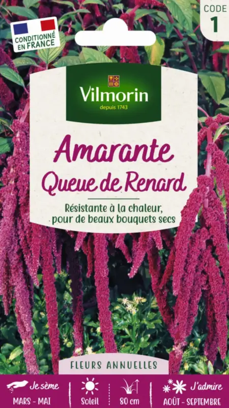 Graines de Amarante Queue de Renard Vilmorin – graines à semer Meilleur Choix