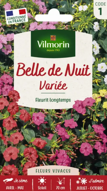 Belle-de-nuit Variée Vilmorin – graines à semer Prix Réduit