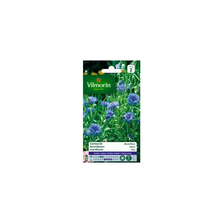 Bon Plan Graines de Centaurée bleuet bleu Vilmorin – graines à semer