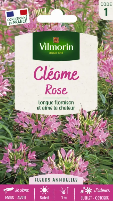 Promotion Graines de Cléome rose Vilmorin – graines à semer