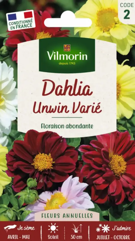 Dahlia Unwin Varié Vilmorin – graines à semer Haute Qualité