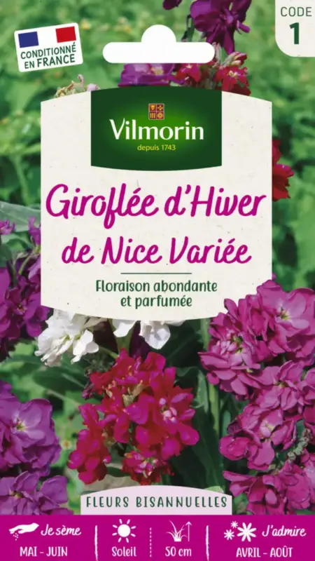 Petit Prix Graines de Giroflée d’hiver de Nice variée Vilmorin – graines à semer