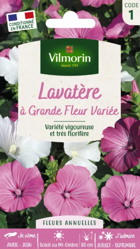 Nouvelle Collection Lavatère à Grande Fleur variée Vilmorin – graines à semer