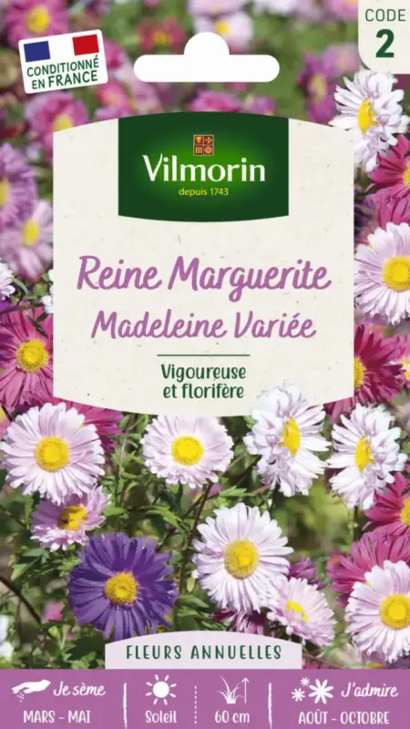 Certifié Graines de Reine Marguerite Madeleine variée Vilmorin – graines à semer