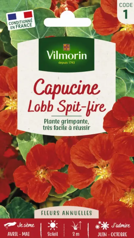 Expédié Aujourd&rsquo;hui Capucine Lobb Spit-Fire Vilmorin – graines à semer