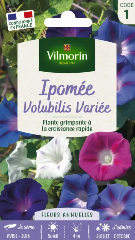 Top Vente Ipomée Volubilis Variée Vilmorin – graines à semer