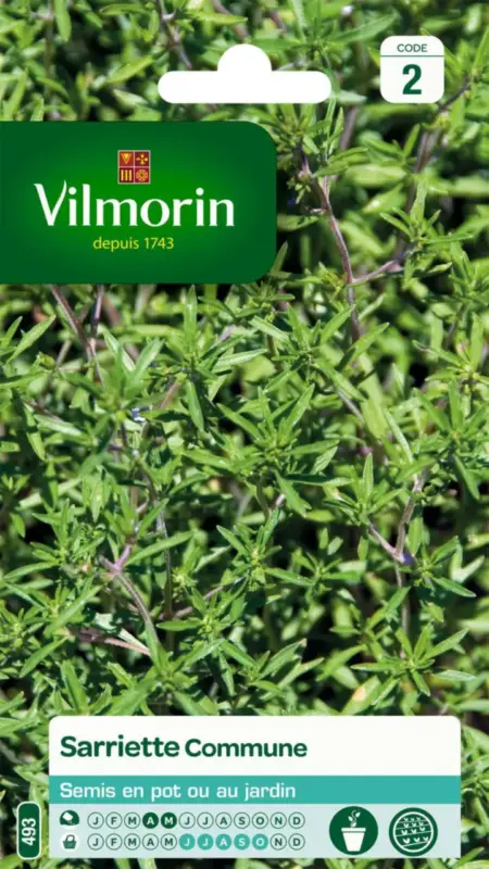 Sarriette Commune Vilmorin – graines à semer Commande En Gros
