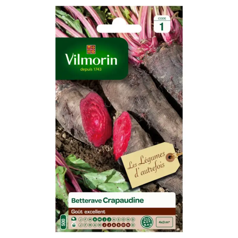 Acheter Direct Betterave Crapaudine Vilmorin – graines à semer
