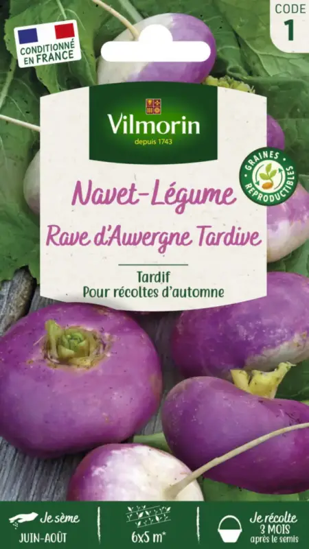 Prix Choc Navet Rave d&rsquo;Auvergne tardif Vilmorin – graines à semer