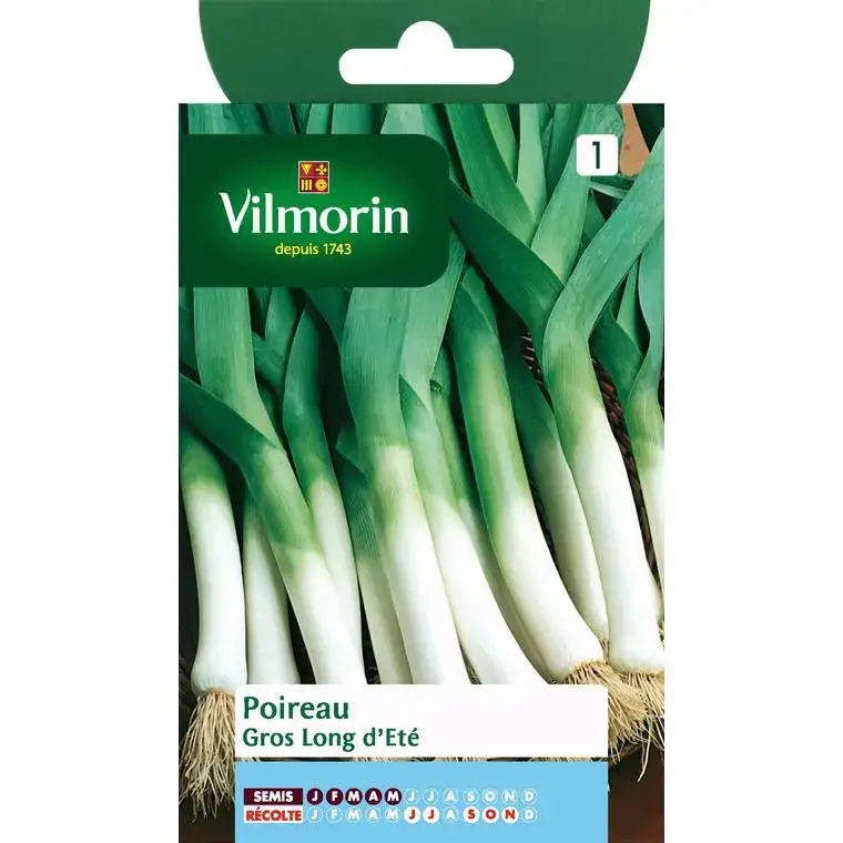 Poireau Gros Long d&rsquo;Été Vilmorin – graines à semer Pas Cher