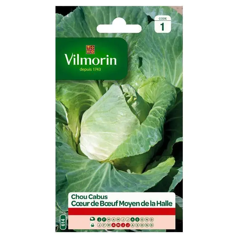 Chou Cabus Cœur de Bœuf Moyen de la Halle Vilmorin – graines à semer Acheter En Ligne