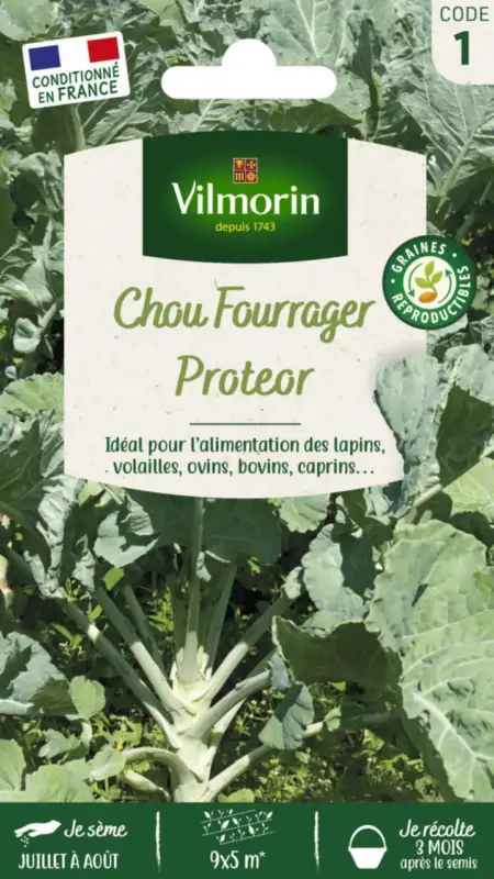 Chou Fourrager Proteor Vilmorin – graines à semer Pas Cher