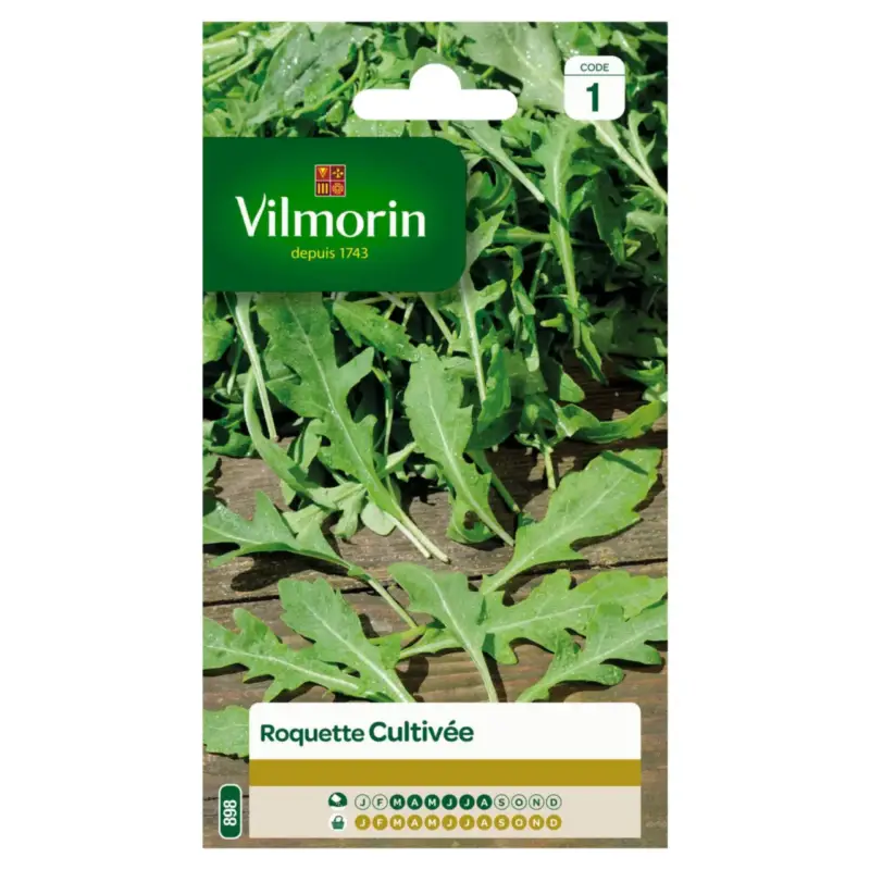 Roquette Cultivée Vilmorin – graines à semer Super Prix